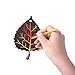 Happy Fall Party Decorations Colorful Magic Color Scratch Fall Leaves For Autumn Harvest Birthday Thanksgiving Party Supplies-40 Pack