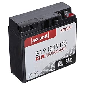 Accurat motorfietsaccu G19 21Ah 175A 12V gel-technologie startaccu in OEM-kwaliteit cyclusvast veilig opbergbaar…