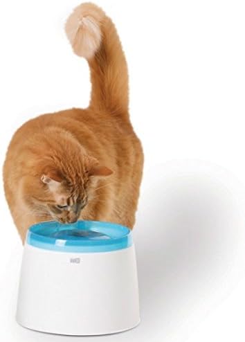Chat Boutic Fontaine Fresh Clear 2 L
