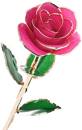 PINSV 24K Gold Foil Trim Rose Best Gifts For Girlfriend Wife Lady Mother Grandmother Daughter Granddaughter FOR Valentine's Day, Mother's Day, Anniversary, Birthday Gift In Gift Box (Pink Rose)