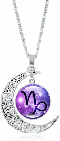 12 Constellations Shiny Zircon Pendant Zodiac Sign Horoscope Astrology Disc Charm Necklace 01 Capricorn