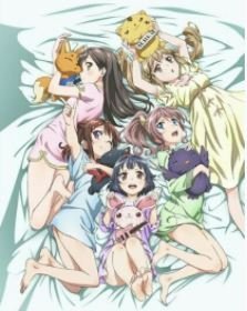 Japan Import Bandori Blu-ray whole volume purchase special Toranoana cushion