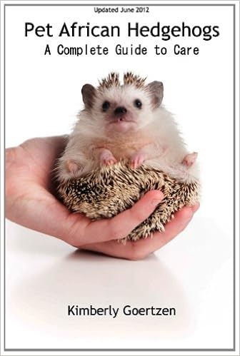 african hedgehog care