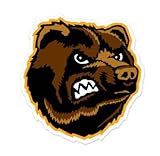Boston Bruins NHL car bumper sticker decal (5