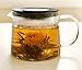Glass Teapot with Tea Infuser - Stovetop Safe Clear Glass Teapot with Removable Strainer - Perfect for Blooming Tea, Loose Leaf and Other Herbal Teas