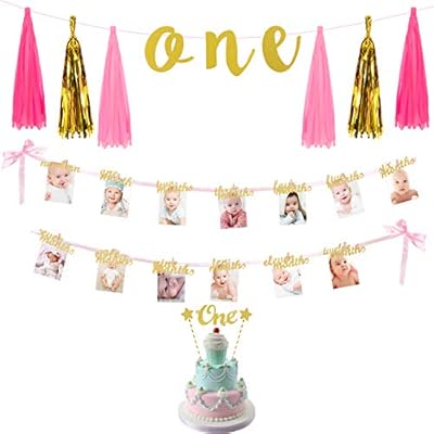 1st Birthday Party Decorations Kit One Tassel Banner 12months