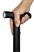 ZAP ZAPCANE Cane - 1 Millionv Stun Gun Walking Cane with Flashlight & Carrying Case, Black