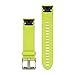 Garmin Quickfit Watch Band