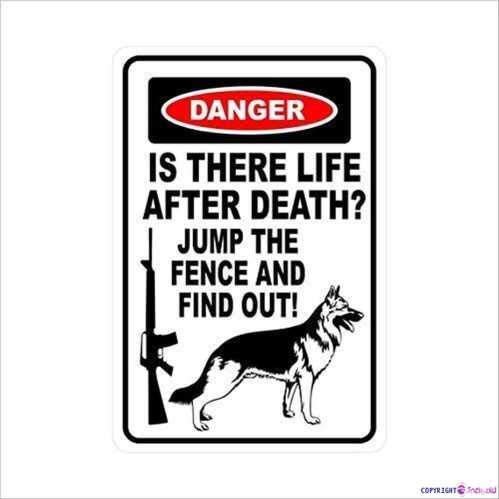 Hisense Novelty Warning Metal Tin Sign Danger Is There Life After Death German Shepherd Gift Dog Pet Ar 15 Sign Outdoor Security Farm yard Warning Decoratives Metal Aluminum Sign 8 X 12 INCH