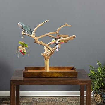 Prevue Pet Products Coffeawood Tree Mini Table Top (Medium)
