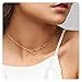 Fremttly 14k Gold Fill Dainty Choker Circle Necklace Open Circle Chain Choker Necklace-CK1-RD-S
