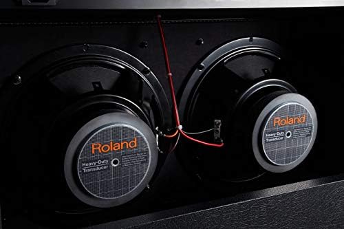 roland jc 120 speakers