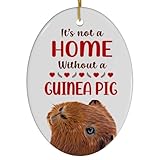 Red Chestnut Guinea Pig Christmas Ornament 2024