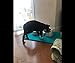 PETCEE Large Cat Bowl Mat is Water-Proof and Non-Toxic