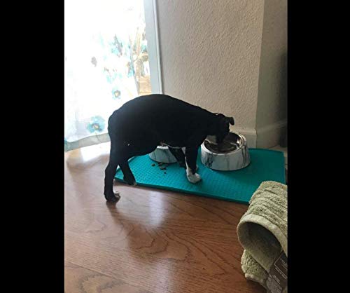 PETCEE Cat Food Mat is Solved Messy When Feeding