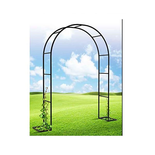 LYBC Gartenbogen Metall Rosenbogen Für Verschiedene Kletterpflanzen Und Weinreben,Torbogen Rankgitter Pergola Spalier…