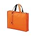 LIHIT LAB Carrying Bag, 11.8 x 15.7 Inches, Orange (A7651-4)