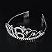 Frcolor Crystal Rhinestone Birthday Crown Sweet 16 Birthday Tiara (Silver)