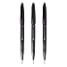 Pentel Fude Touch Sign Pen, Black, Felt Pen Like Brush Stroke (SES15C-A) 3 Pieces