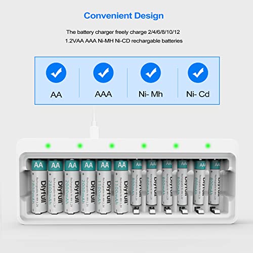 Dlyfull 12 Bay AA AAA Battery Charger, USB and TypeC Selectable High