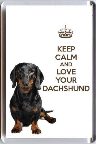 how to calm a dachshund