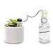 Henoda 10PCS Self Watering Probes - Indoor Automatic Watering System Irrigation Equipment Houseplant Spikes for Plant
