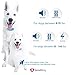 GoodBoy Small Size Remote Collar for Dogs with Beep Vibration and Shock Modes for Pet Behavior Training – Waterproof & 1000 Feet Range – Suitable for Small, Medium or Large Dogs Over 8 Lbsthumb 2