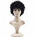 Natural Black Afro Wig Kinky Curly Short Hair Wigs For Black Women Cheap Wigs for African American Wigs with Free Wig Cap