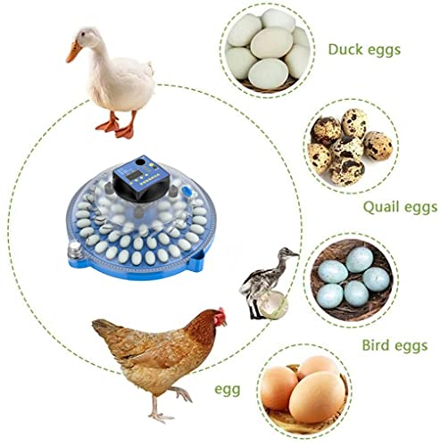 ALWUDI 48 Eier MotorbrüTer HüHner, 360-Grad-Ansicht Mini voll Eier Automatischer Brutapparat Brutmaschine für Hühner… – Bild 7