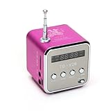 TD-V26 Portable Mini Digital Speaker with Micro SD / TF / USB /FM (Pink)
