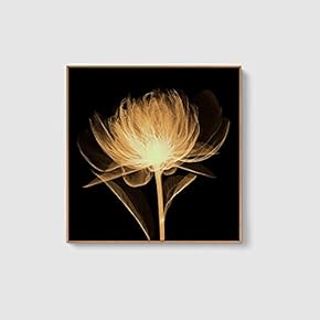 Framed Canvas Home Artwork Decoration Beautiful Flower Canvas Wall Art for Living Room, Bedroom - 16x16 inches