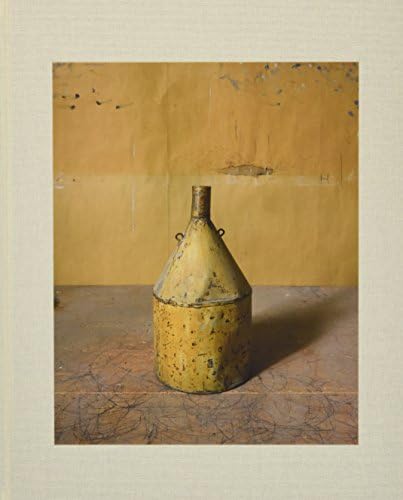 Joel Meyerowitz: Morandi's Objects Hardcover – 1 Feb. 2016