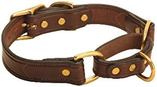 leather martingale