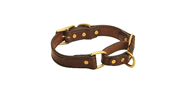 leather martingale