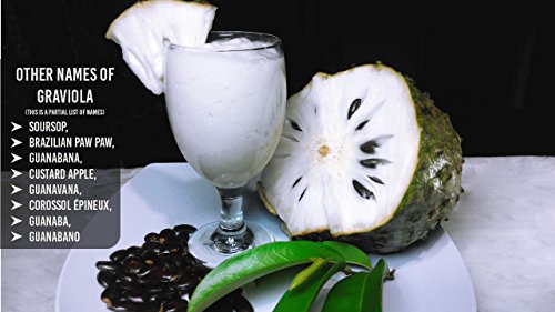 Graviola Soursop Guanabana Paw Paw Powder Herbal Supplement (4oz) - Thumbnail 6