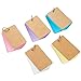 Pangda 250 Pieces Card Kraft Paper Study Cards Unruled Colored Pages with Binder Ring, 2.2 x 3.5 Inches (Multicolor)