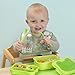 green sprouts  Wipe-Off Bib, Aqua Forest (Single)