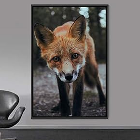 signwin Framed Canvas Wall Art Red Fox Animals...