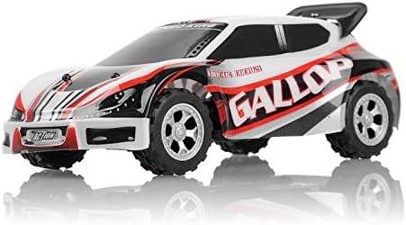 coches de rally teledirigidos