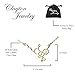 Clayton Jewelry Labs THC Tetrahydrocannabinol Weed Marijuana Molecule Stainless Steel Necklace (Gold1)