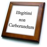3dRose Illegitimi Non Carborundum Black Framed Tile, 6 x 6