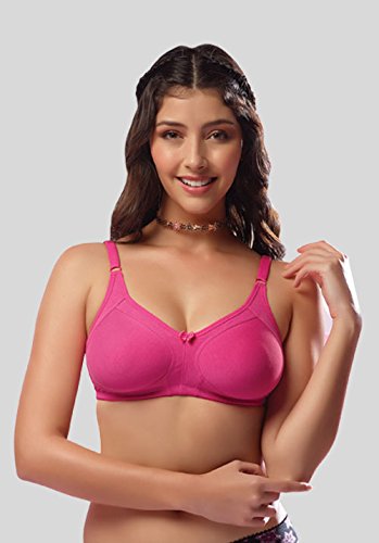 V star cotton bra Clearance