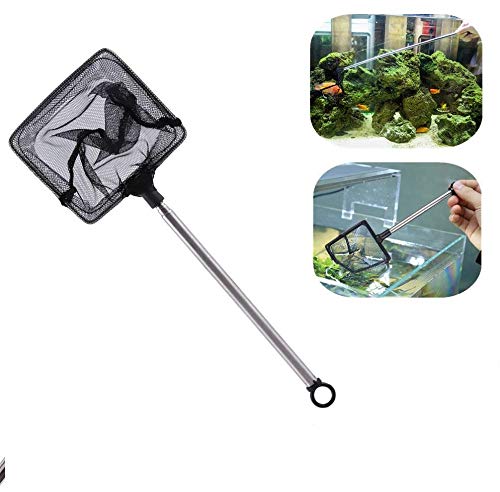 Extendable Aquarium Fish Net with Fine Mesh and Adjustable Handle - Ideal for Betta Fish Tanks, Shrimp Breeding, Small Fish Handling (Square Design)