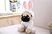 JoyAmigo Pug Stuffed Animal Dog Puppy Soft Cuddly Animal Toy in Easter Bunny Costumes - Super Cute Quality Rabbit Dog Plush Children Easter Basket Stuffers Decoration