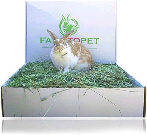 farm animal food store