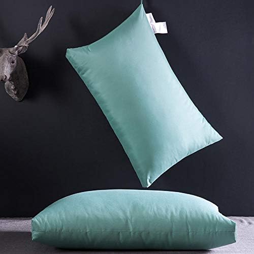 WJCNS 2 loaded feather velvet pillow pillow washed pillow core student pillow fiber pillow cervical pillow green 45x70cm