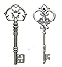 Makhry Mixed 20 Extra Large Antique Silver Finish Skeleton Keys Rustic Key for Wedding Decoration Favor(Antique Silver)