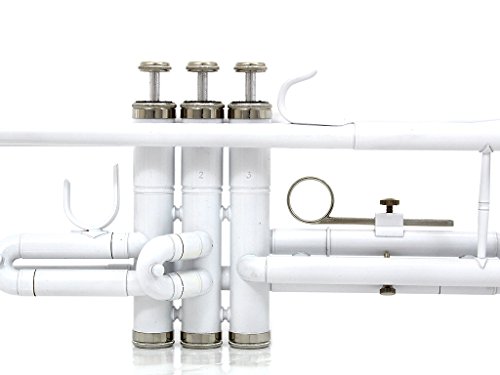 4 DLuca+500WH+Standard+Professional+Cleaning