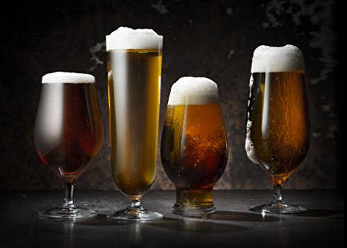 Orrefors Beer Pils 15.5 Ounce Glass, Set of 6