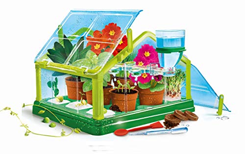 Clementoni Galileo Lab – Experimentieren im Gewächshaus, Pflanzkasten & Samen für Mini-Gärtner und angehende Botaniker, Spielzeug für Kinder ab 7 Jahren von Clementoni 59081 – Bild 4